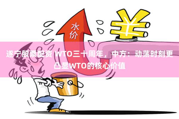   遂宁股票配资 WTO三十周年，中方：动荡时刻更凸显WTO的核心价值